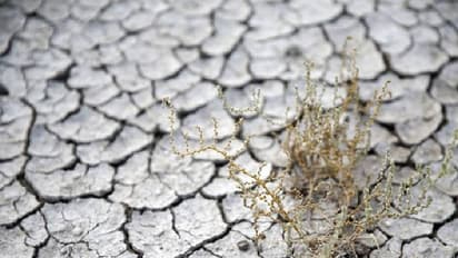 ഓക്സിജന്റെ അളവ് കുറയും, ഭൂമിയിൽ ജീവനുകളില്ലാതെയാവും?