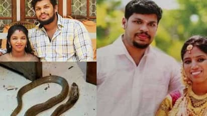 Snake bite murder case: ಪತ್ನಿಗೆ ಹಾವು ಕಚ್ಚಿಸಿ ಕೊಂದವನಿಗೆ ಡಬಲ್ ಜೀವಾವಧಿ ಶಿಕ್ಷೆ