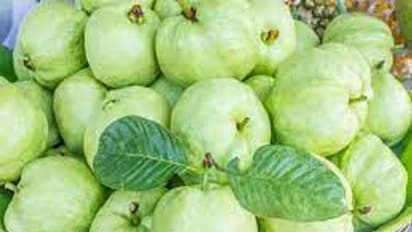 guava