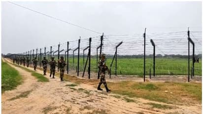 পেট্রাপোল সীমান্তে BSF-এর জোরদার তল্লাশি, দুদিনে ধরা পড়ল ৮২টি জাল ড্রাইভিং লাইসেন্স