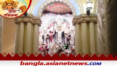 Durga Puja: ওড়ে না নীলকন্ঠ পাখি, জাঁকজমকে ভাটা পড়লে নবমীতে মাতোয়ারা কাশিমবাজার রাজবাড়ী পুজো