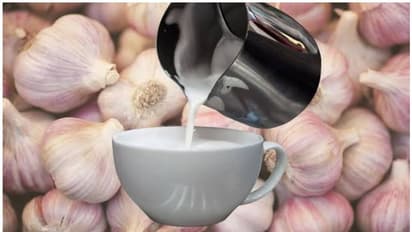 குழந்தைங்க தினமும் 'பூண்டு பால்' குடித்தால் மழைகாலத்துல சளி தொந்தரவே இருக்காதாம் தெரியுமா?