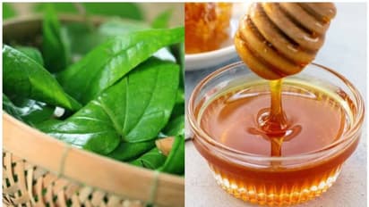 Skin Care: ব্রণর সমস্যা দূর করা থেকে চুলের যত্ন, অবাক করা পান পাতার উপকারিতা