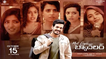 ‘మోస్ట్ ఎలిజిబుల్ బ్యాచ్లర్’క్లోజింగ్ కలెక్షన్స్,ఎంత లాభం