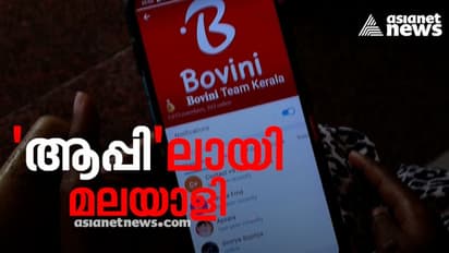 ലൈക്കടിപ്പിച്ച് പണം തട്ടി! ബോവിനി ആപ്പ് തട്ടിയത് ലക്ഷങ്ങള്; തട്ടിപ്പിനിരയായവരിൽ കൂടുതലും വിദ്യാര്ത്ഥികൾ