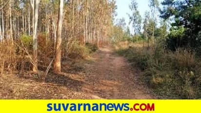 ‘ಸೇವ್‌ ಜಾರಕಬಂಡೆ’ ಹೆಸರಲ್ಲಿ ಅಭಿಯಾನ ಶುರು