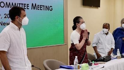 ‘Will consider’: Rahul Gandhi says on ‘unanimous request’ to become party chief again at CWC meeting