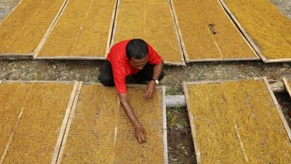 ರಾಜ್ಯಾದ್ಯಂತ ತಂಬಾಕು ಮಾರುಕಟ್ಟೆಗಳನ್ನು ತಾತ್ಕಾಲಿಕವಾಗಿ ಸ್ಥಗಿತಗೊಳಿಸಲು ತೀರ್ಮಾನ