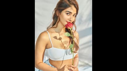 Skin Care: হলুদের তৈরি প্যাক নিয়মিত লাগান পুজা, পুজা হেগড়ের মতো ত্বক পেতে ঘরোয়া টোটকা মেনে চলুন