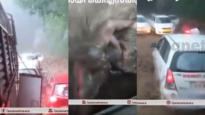 മരണത്തിലേക്ക് ഒഴുകിപ്പോയ ജീവനുകളെ കൈപിടിച്ച് കയറ്റി കെഎസ്ആര്‍ടിസി ജീവനക്കാര്‍; വീഡിയോ