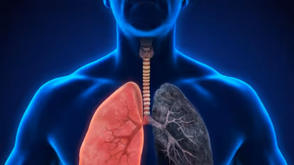 World Lung Cancer Day 2022 :  സൂക്ഷിച്ചാൽ ശ്വാസകോശ ക്യാൻസർ സാധ്യത കുറയ്ക്കാം