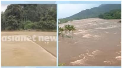 Kerala Rains | പമ്പ ഡാമിൽ റെഡ് അലർട്ട്, ജാഗ്രതാ നിർദ്ദേശം, തുലാമാസ പൂജയ്ക്ക് ശബരിമലയിൽ ഭക്തർക്ക് പ്രവേശനമില്ല