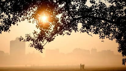 Weather Rpeort: আজ থেকেই আকাশ পরিষ্কার কলকাতায়, দুই বঙ্গেই হালকা বৃষ্টির পূর্বাভাস