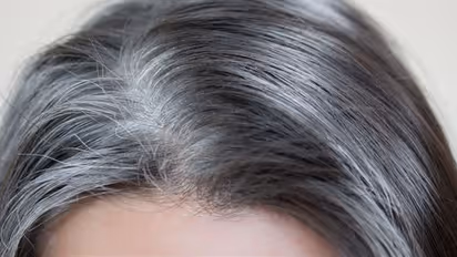 White Hair: ఈ రెండు ఆకులతో తెల్ల జుట్టు పూర్తిగా నల్లగా మారుతుంది..