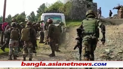 Pak Terrorist: পুঞ্চ এনকাউন্টারে নিহত পাক-জঙ্গি জিয়া মুস্তাফা, ২৪ কাশ্মীরি পণ্ডিত হত্যার মাস্টারমাইন্ড