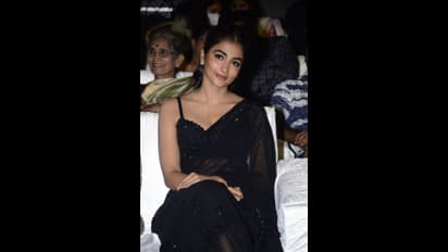 ట్రాన్ఫ్స రెంట్ శారీలో సెగలు రేపుతున్న పూజా హెగ్డే.. అందరు హీరోలకు లక్కీ ఛార్మ్ అంటూ బన్నీ ప్రశంసలు