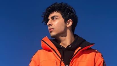 Was Aryan Khan planning for road trip in US with friends in November? Here's what Khan's friend said