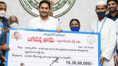 రాష్ట్రంలో వైషమ్యాలకు టీడీపీ యత్నం: వైఎస్ జగన్