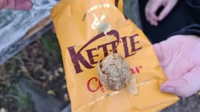 ഉരുളക്കിഴങ്ങ് ചിപ്‌സ് വാങ്ങിച്ച് പാക്കറ്റ് തുറന്നപ്പോള്‍ കണ്ടത്...