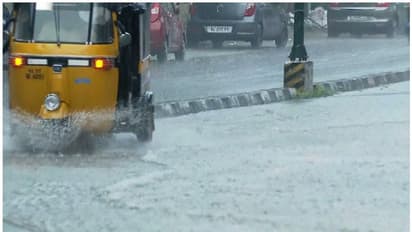 No respite for Kerala: IMD sounds orange alert in 8 districts as heavy rain batters state