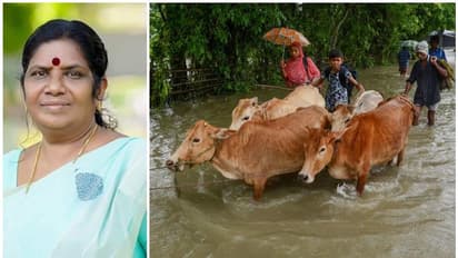 വെള്ളപ്പൊക്കത്തിൽ മൃഗസംരക്ഷണ മേഖലയിൽ 2 കോടിയുടെ നഷ്ടം, കന്നുകാലികൾ മരിച്ച കർഷകർക്ക് ധനസഹായം നൽകും; മന്ത്രി