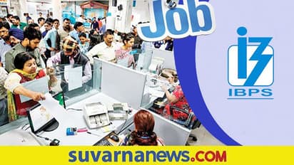 4135 ಪ್ರೊಬೇಷನರಿ ಆಫೀಸರ್, ಮ್ಯಾನೇಜ್ಮೆಂಟ್ ಟ್ರೈನಿಗಳ ನೇಮಕ ಪ್ರಕ್ರಿಯೆ ಆರಂಭಿಸಿದ IBPS