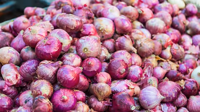 कोरोना के बाद अब प्याज से फैल रही है नई बीमारी, यहां 37 राज्यों में 650 लोग बीमार, 129 हॉस्पिटल में भर्ती