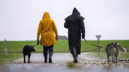 Astrology: ಸಾಕುಪ್ರಾಣಿಗಳೆಂದ್ರೆ ಈ ರಾಶಿಯವ್ರಿಗೆ ಭಾರೀ ಇಷ್ಟ!