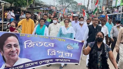 TMC: ত্রিপুরায় প্রচারে গিয়ে আক্রান্ত তৃণমূল সাংসদ, বিপ্লব দেবকে কটাক্ষ সুস্মিতা দেবের