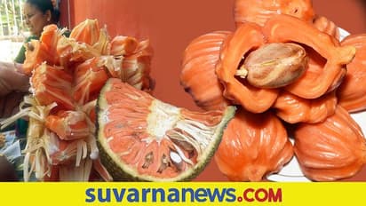 ತುಮಕೂರಿನ ಪ್ರಸಿದ್ಧ ‘ಸಿದ್ದು’ ಹಲಸಿಗೆ ಕರಾವಳಿಯಲ್ಲಿ ಕಸಿ..!