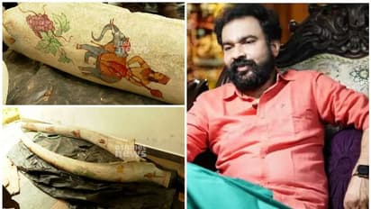 മോൻസന്റെ കൈവശം തിമിംഗലത്തിന്റെ അസ്ഥികളും; പോക്സോ കേസിൽ മോന്സന്റെ പേഴ്സണൽ ക്യാമറമാനും അറസ്റ്റില്