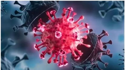 ರಾಜ್ಯ ರಾಜಧಾನಿಯಲ್ಲಿ ಮೂವರಿಗೆ AY 4.2 ವೈರಸ್, ಸೋಂಕಿತರ ಪತ್ತೆ ಕಾರ್ಯ ಆರಂಭ!