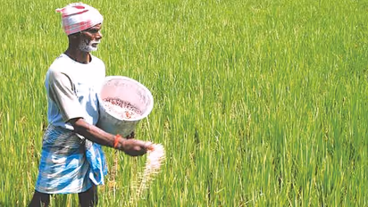 Budget 2025: கிசான் கிரெடிட் கார்டு மூலம் ரூ.5 லட்சம் வரை கடன்! மத்திய பட்ஜெட்டில் அறிவிப்பு!