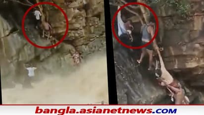 Horrible video:  বানভাসি মা ও সন্তান, জীবনের ঝুঁকি নিয়ে উদ্ধারের ভিডিও মন কাড়ল নেটিজেনদের