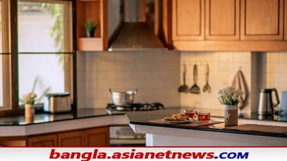 Vastu Tips: এই চার জিনিস সংসারে ডেকে আনে অমঙ্গল, বাস্তু মতে সংসারে শান্তি বজায় রাখুন