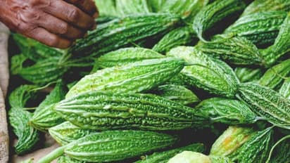 പാവയ്ക്ക കഴിച്ചാൽ ലഭിക്കുന്ന അഞ്ച് ആരോ​ഗ്യ​ഗുണങ്ങൾ 