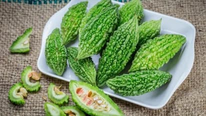 వర్షాకాలంలో ఈ రోగాలు రాకూడదంటే.. కాకరకాయను ఖచ్చితంగా తినాల్సిందే..! 