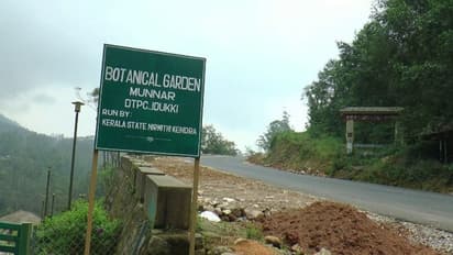 ആകെ വന്നത് 5000ൽ താഴെ സഞ്ചാരികൾ, കോടികള് ചിലവഴിച്ചിട്ടും വരുമാനമില്ലാതെ മൂന്നാര് ബോട്ടാണിക്കൽ ഗാര്ഡന്