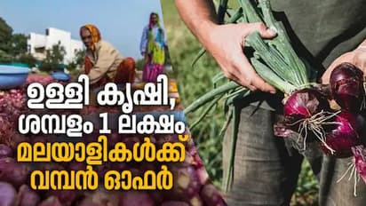 ദക്ഷിണ കൊറിയയില് വമ്പന് ശമ്പളത്തിലെ ഉള്ളി കൃഷി; ഉദ്യോഗാര്ത്ഥികളെ വലച്ച് തൊഴില് സമയവും അവധിയും
