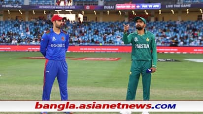 T20 WC 2021 - পাকিস্তানের বিরুদ্ধে টসভাগ্য সঙ্গ দিল আফগানদের, টসে জিতে অবাক করা সিদ্ধান্ত