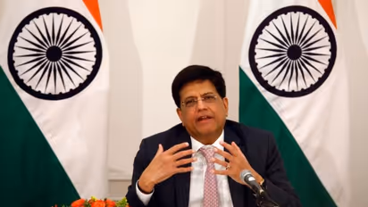 PM Modi's Sherpa Piyush Goyal: G20 acknowledges India's leadership on global concerns