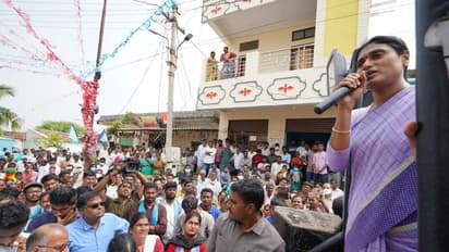 ఓట్లు వేయించుకొనుడు.. ఫామ్హౌస్కు పోవుడు, రాష్ట్రంలో రౌడీలదే రాజ్యం : కేసీఆర్పై షర్మిల ఫైర్