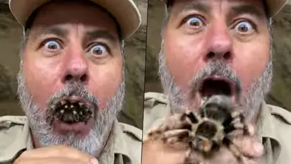 (Watch) Spider crawls out of zookeeper’s mouth; here's what happens next