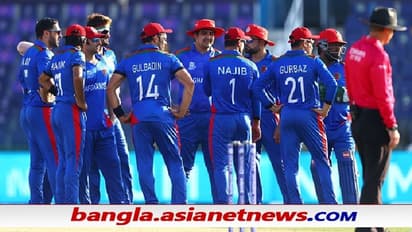 T20 WC 2021 - ১০০-ও তুলতে পারল না নামিবিয়া, প্রাক্তন অধিনায়কের বিদায় স্মরণীয় করে রাখল আফগানরা