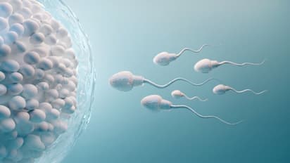Covid 19 and Sperm count :   ഞെട്ടിപ്പിക്കുന്ന പഠനം; കൊവിഡ് ബാധിച്ച പുരുഷന്മാർ ഒന്ന് ശ്രദ്ധിക്കൂ...