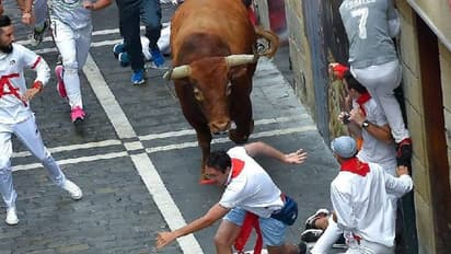 കാളയോട്ട ആഘോഷം, 55 -കാരനെ കാള കുത്തിക്കൊന്നു, ഇത്തരം ആഘോഷങ്ങള് വേണോ? ചർച്ച ശക്തം