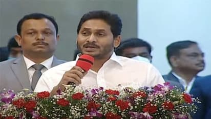 క్యాంప్ కార్యాలయంలో ఘనంగా ఆంధ్ర రాష్ట్ర అవతరణ దినోత్సవం...   అమరజీవికి సీఎం జగన్ నివాళి (ఫోటోలు)