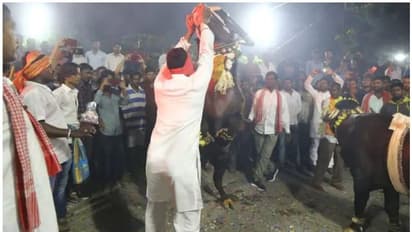 సదర్ ఉత్సవాలకు సర్వం సిద్ధం.. రేపు సాయంత్రం సంబురాలు షురూ