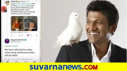 ಪುನೀತ್ ಗೆ ಅಪಮಾನ.... 'ನಾರ್ತ್‌ ಇಂಡಿಯಾ' ಕಿರಾತಕನ ಎಳೆದು ತಂದ ಪೊಲೀಸರು!