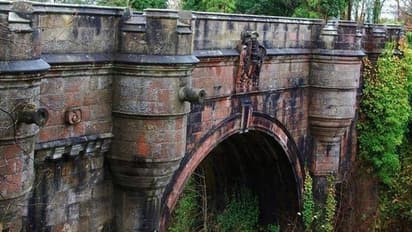 ഈ പാലത്തിലെത്തിയാൽ നായകൾ നിൽക്കും, പിന്നീട് താഴേക്ക് ചാടിച്ചാവും, നിഗൂഢതയായി 'ഡോഗ് സൂയിസൈഡ് ബ്രിഡ്ജ്'